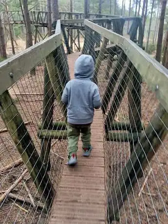 Tree top trail