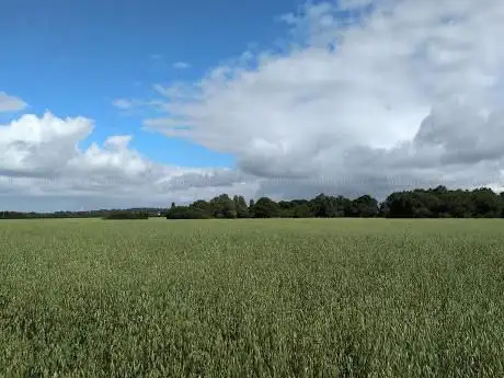 Appleton Thorn playing fields