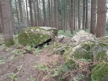 Allée couverte du Bois de la Rabasse