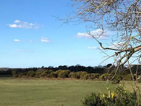 Whitemoor Pond Inclosure