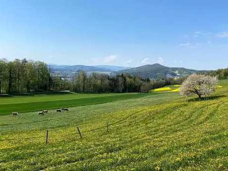 Auenstein Panorama