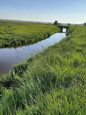 Marais de Saint-Hilaire