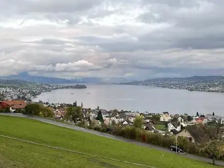 Lake viewpoint