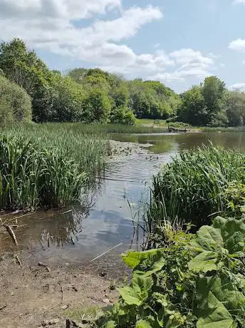 Valley Park Woodlands