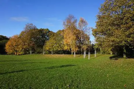 Elmdon Coppice Local Nature Reserve