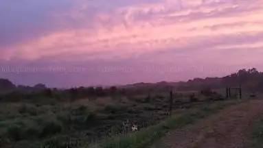 Réserve naturelle régionale des landes et marais de Glomel