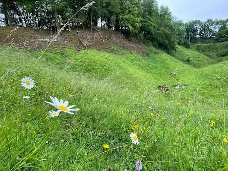 Stenders Quarry SSSI Nature Reserve