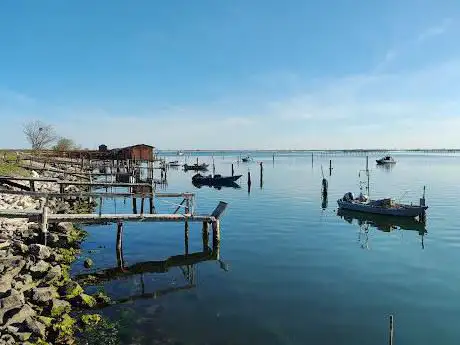 Pesa delle vongole di Scardovari