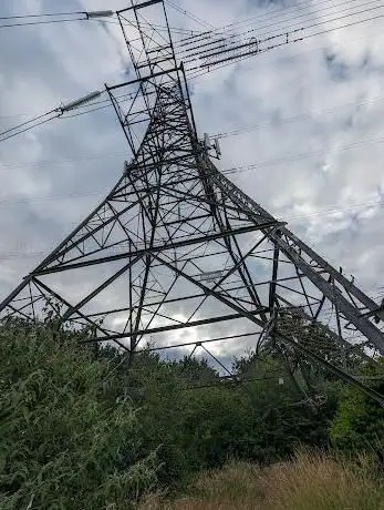 Lion farm electric tower