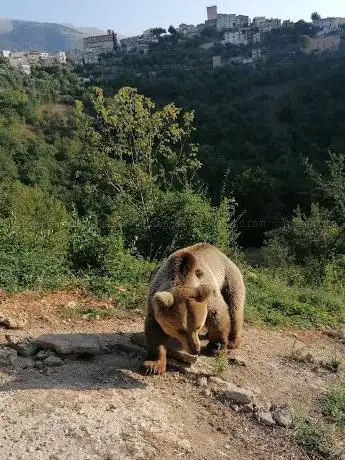 Area Faunistica dell'Orso - Campoli Appennino