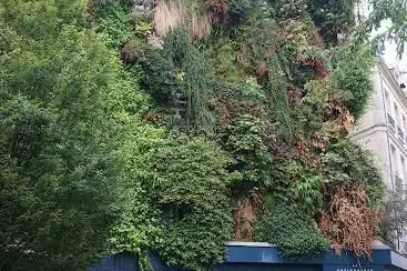 Vertical Garden