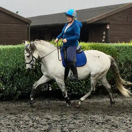 Pine Lodge School of Classical Equitation