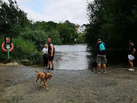 Vale of Health Pond