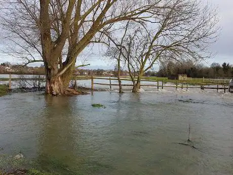 Sudbury Water Meadows