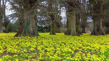 Compton Verney Art Gallery and Park