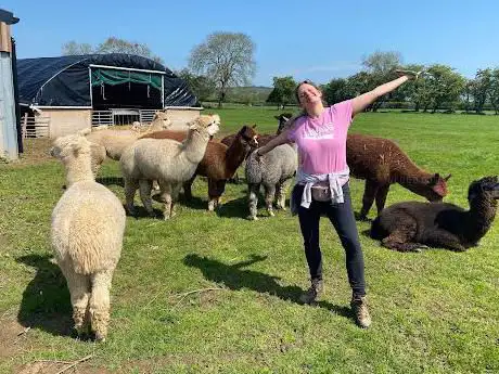 Alpaca Walking Experiences at Alpacas at Carsington