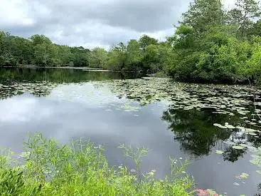 Park North Cameron Wildlife Sanctuary