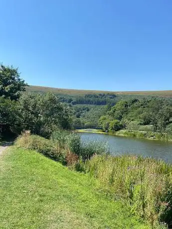 Cwmcelyn Nature Reserve