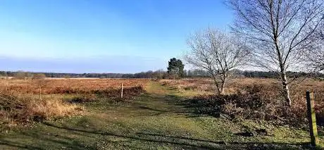 Knettishall Heath Natur Reserve  SSSI and GSI Nature Reserve