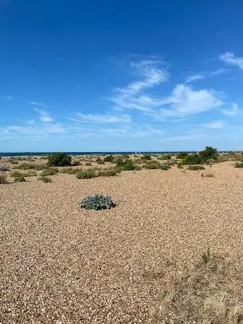 Eastney Battery East