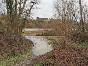 Lombardil Woods