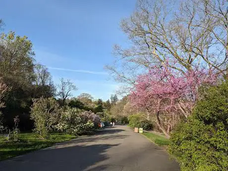 Arboretum Arnold