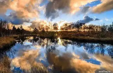 Foulshaw Moss Nature Reserve