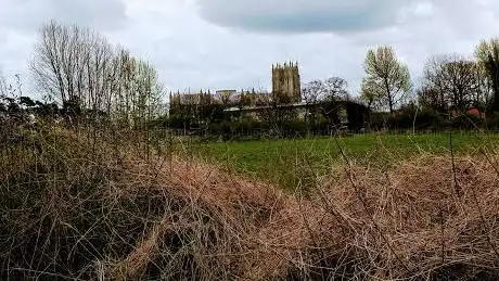 Sparkmill Allotments