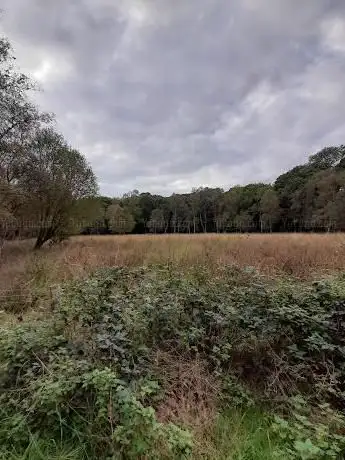 Flitwick Moor & Folly Wood