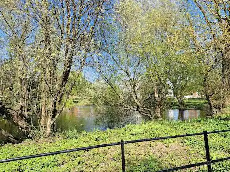 Glan Llyn ponds