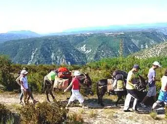 Sherp'Ânes Les Ânes du Causse, Rando ânes Larzac et Cévennes