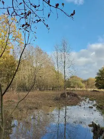 Askham Bog