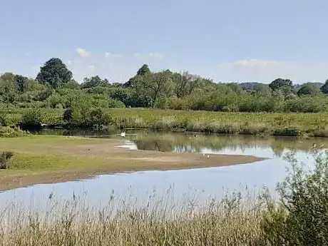 Ripon City Wetlands - YWT