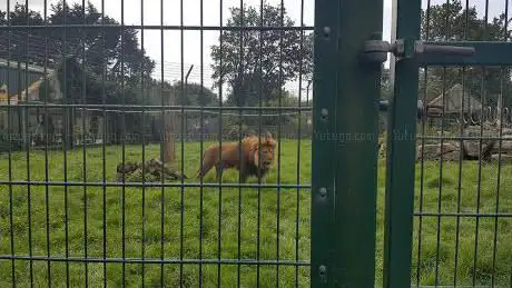 Blackpool Zoo Playbarn