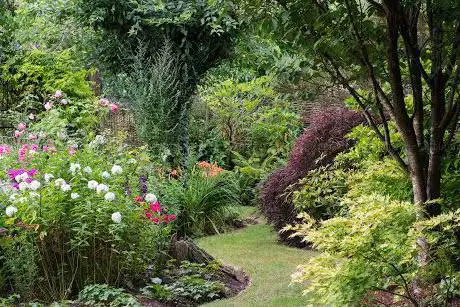 Gardens at Old Camps