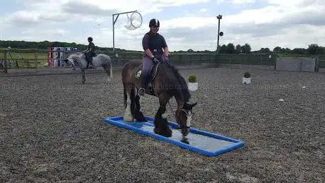 Twin Trees Equestrian Centre