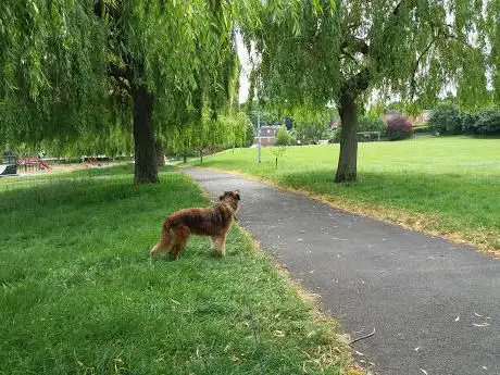 Ardsley Welfare park