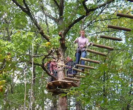 Call Tree Forest Adventure Course Dordogne