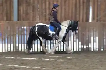 Oaklands College Equestrian Centre