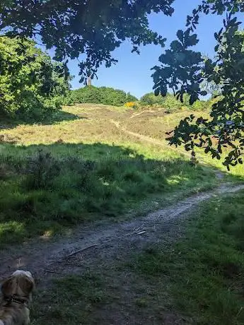 Kersal Moor Local Nature Reserve