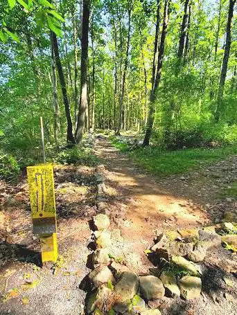 French Creek Disc Golf