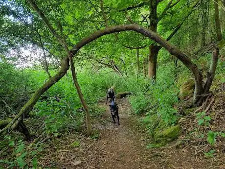 Colsterworth Nature trail