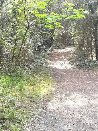 Forêt de La Baule Escoublac