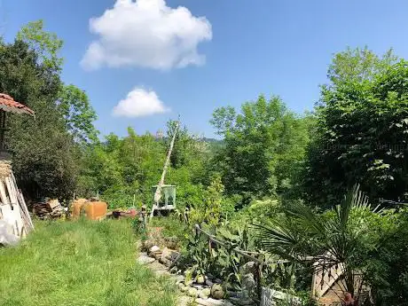 Giorgioâ€™s Giardino Di Nirvana