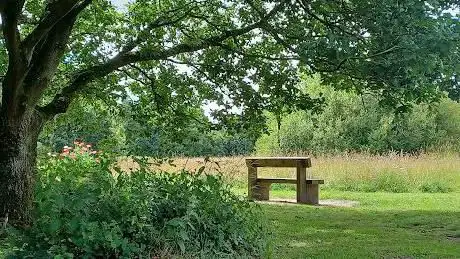 Westbrook Community Orchard