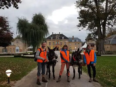 Un Âne en Ardennes