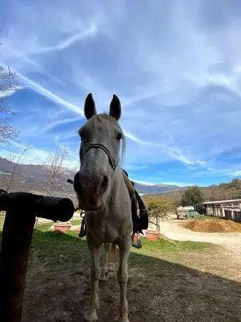 Abruzzo a Cavallo centro equestre