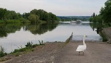 Vogelschutzgebiet Moselaue Nennig