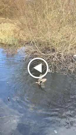 Source of the River Lea