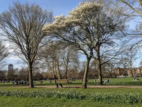 Ravenscourt Park